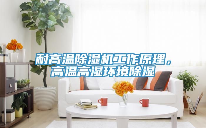 耐高溫除濕機(jī)工作原理，高溫高濕環(huán)境除濕