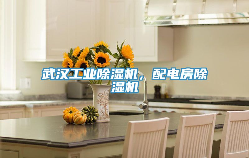 武漢工業(yè)除濕機(jī)，配電房除濕機(jī)
