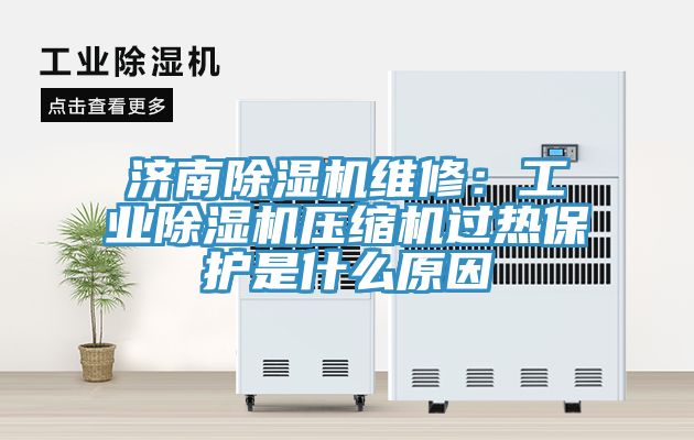 濟(jì)南除濕機(jī)維修：工業(yè)除濕機(jī)壓縮機(jī)過(guò)熱保護(hù)是什么原因