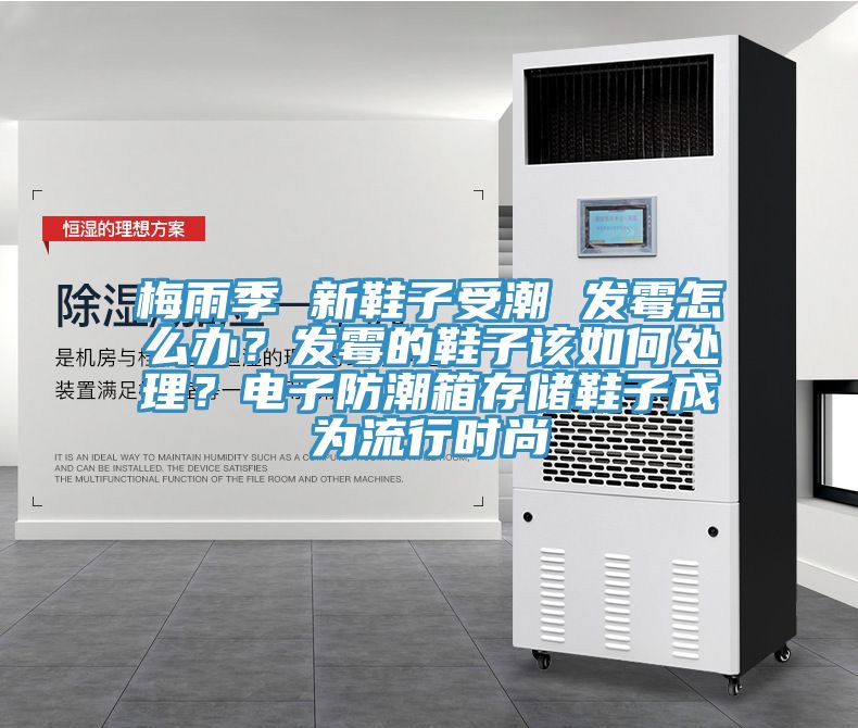 梅雨季 新鞋子受潮 發(fā)霉怎么辦？發(fā)霉的鞋子該如何處理？電子防潮箱存儲(chǔ)鞋子成為流行時(shí)尚