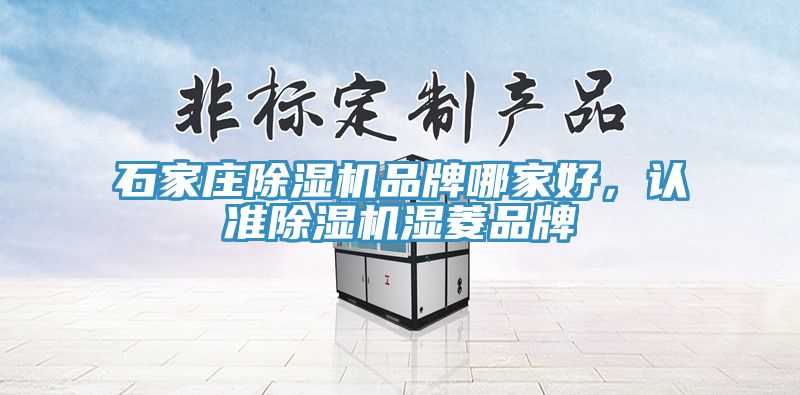石家莊除濕機(jī)品牌哪家好，認(rèn)準(zhǔn)除濕機(jī)濕菱品牌