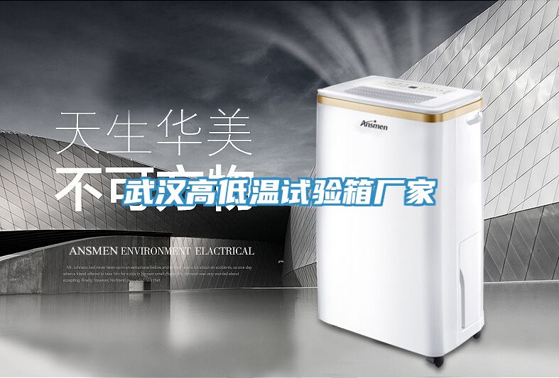 武漢高低溫試驗(yàn)箱廠家