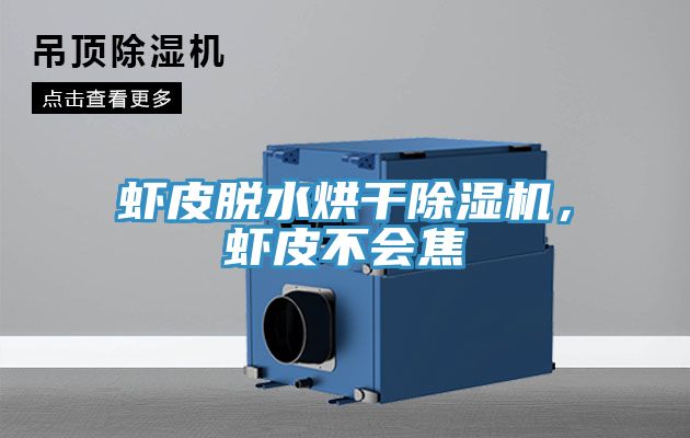 蝦皮脫水烘干除濕機(jī)，蝦皮不會(huì)焦