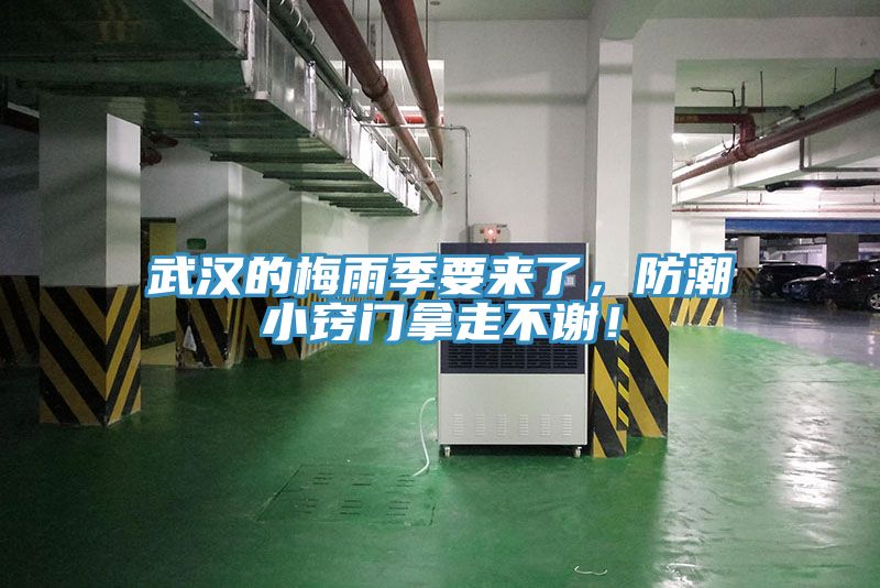 武漢的梅雨季要來了，防潮小竅門拿走不謝！