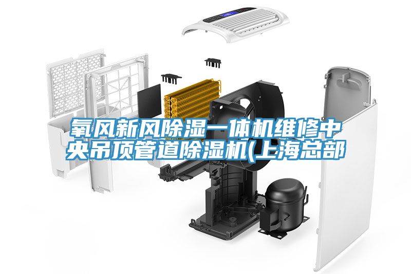 氧風(fēng)新風(fēng)除濕一體機(jī)維修中央吊頂管道除濕機(jī)(上?？偛?></div>
								<div   id=