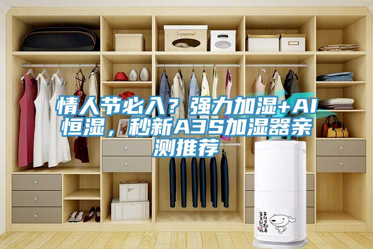 情人節(jié)必入？強力加濕+AI恒濕，秒新A3S加濕器親測推薦