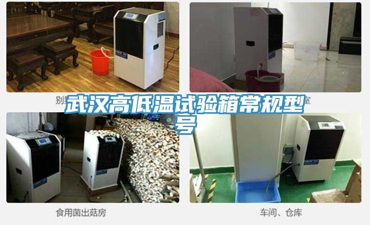 武漢高低溫試驗(yàn)箱常規(guī)型號(hào)