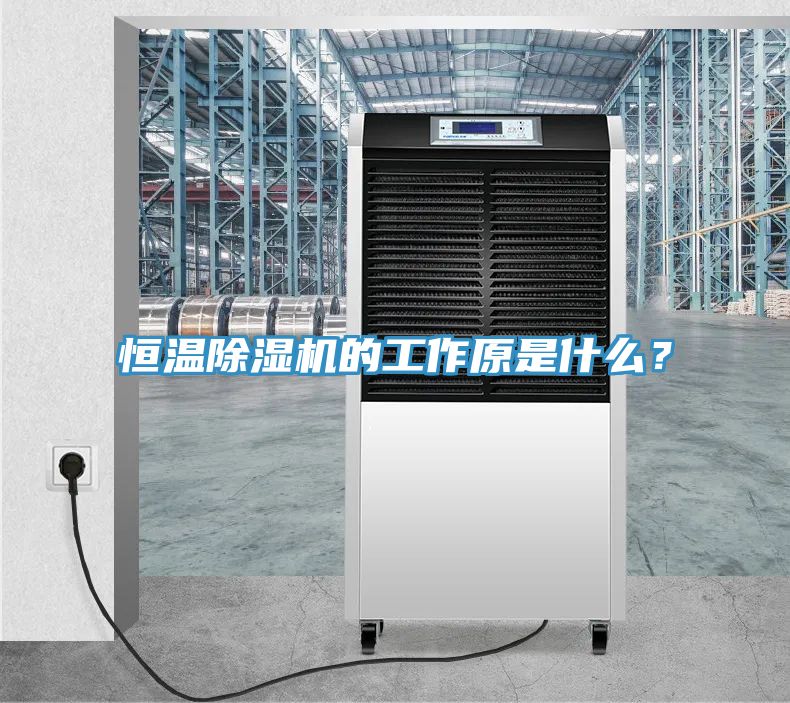 恒溫除濕機的工作原是什么？