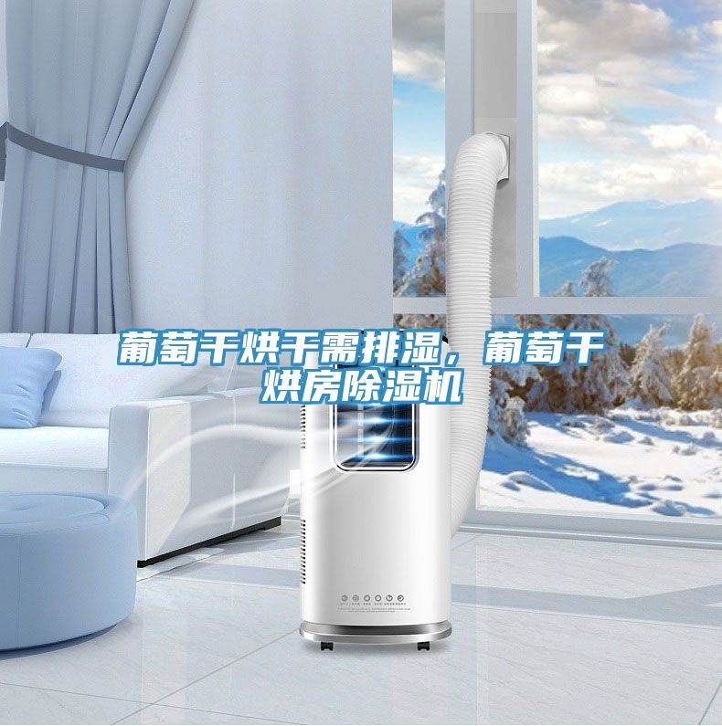 葡萄干烘干需排濕，葡萄干烘房除濕機(jī)