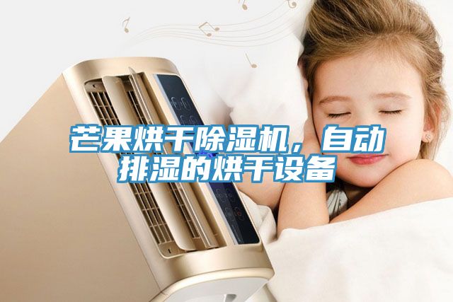 芒果烘干除濕機，自動排濕的烘干設備