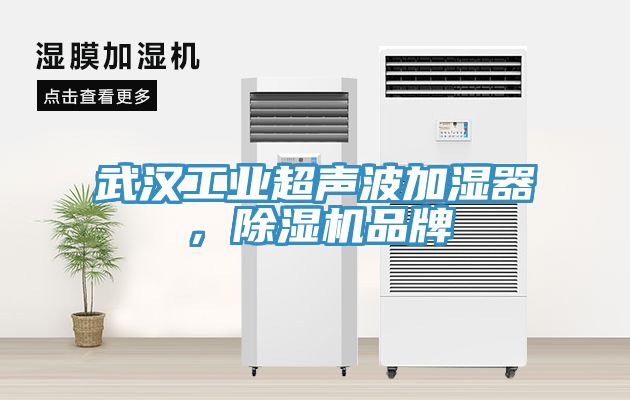 武漢工業(yè)超聲波加濕器，除濕機(jī)品牌