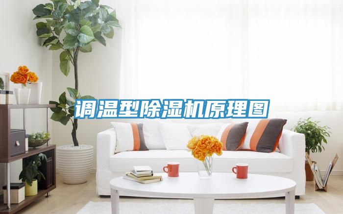 調(diào)溫型除濕機(jī)原理圖
