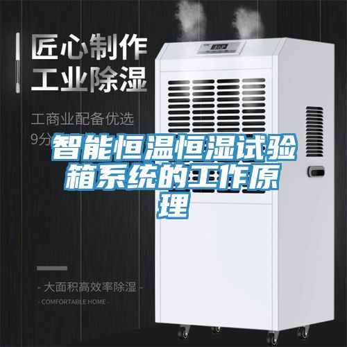 智能恒溫恒濕試驗箱系統(tǒng)的工作原理