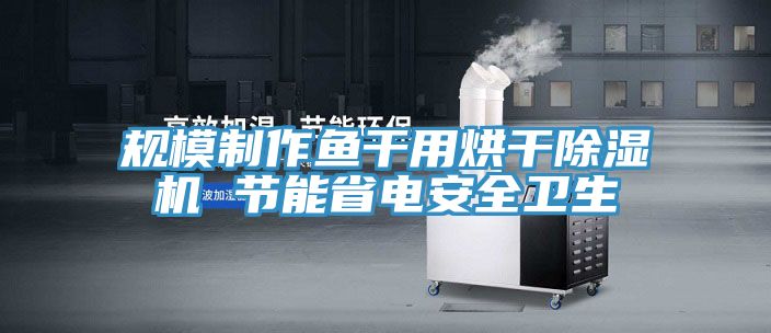 規(guī)模制作魚(yú)干用烘干除濕機(jī) 節(jié)能省電安全衛(wèi)生