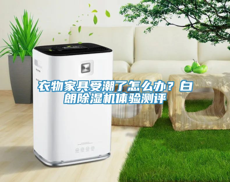 衣物家具受潮了怎么辦？白朗除濕機體驗測評