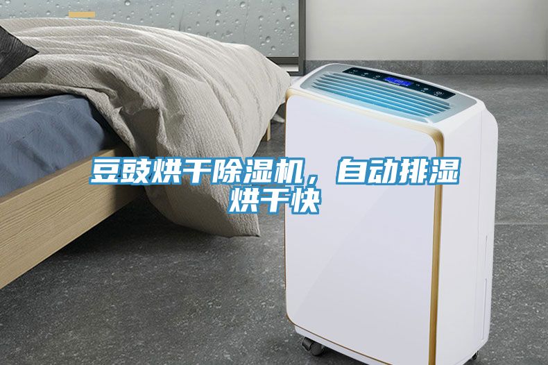 豆豉烘干除濕機(jī)，自動(dòng)排濕烘干快