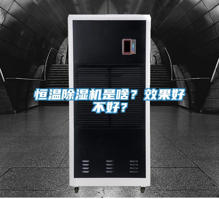 恒溫除濕機是啥？效果好不好？