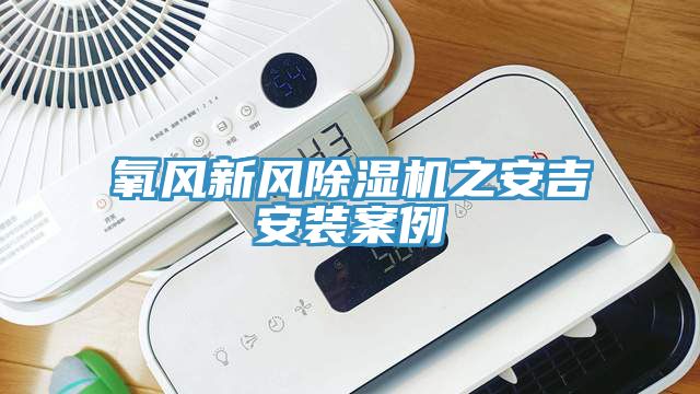 氧風(fēng)新風(fēng)除濕機(jī)之安吉安裝案例