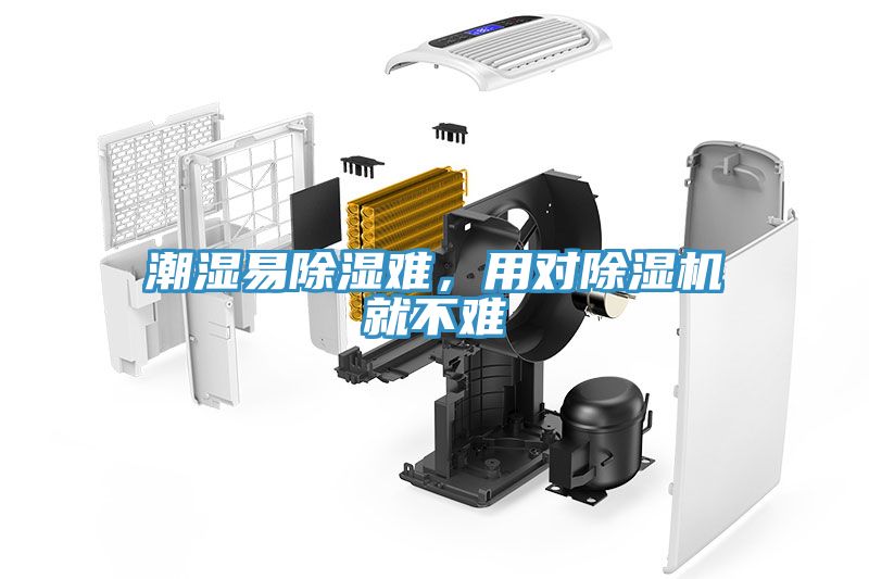 潮濕易除濕難，用對除濕機就不難