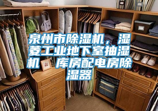 泉州市除濕機，濕菱工業(yè)地下室抽濕機  庫房配電房除濕器
