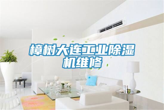 樟樹大連工業(yè)除濕機(jī)維修