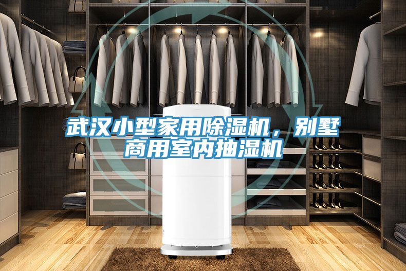 武漢小型家用除濕機(jī)，別墅商用室內(nèi)抽濕機(jī)