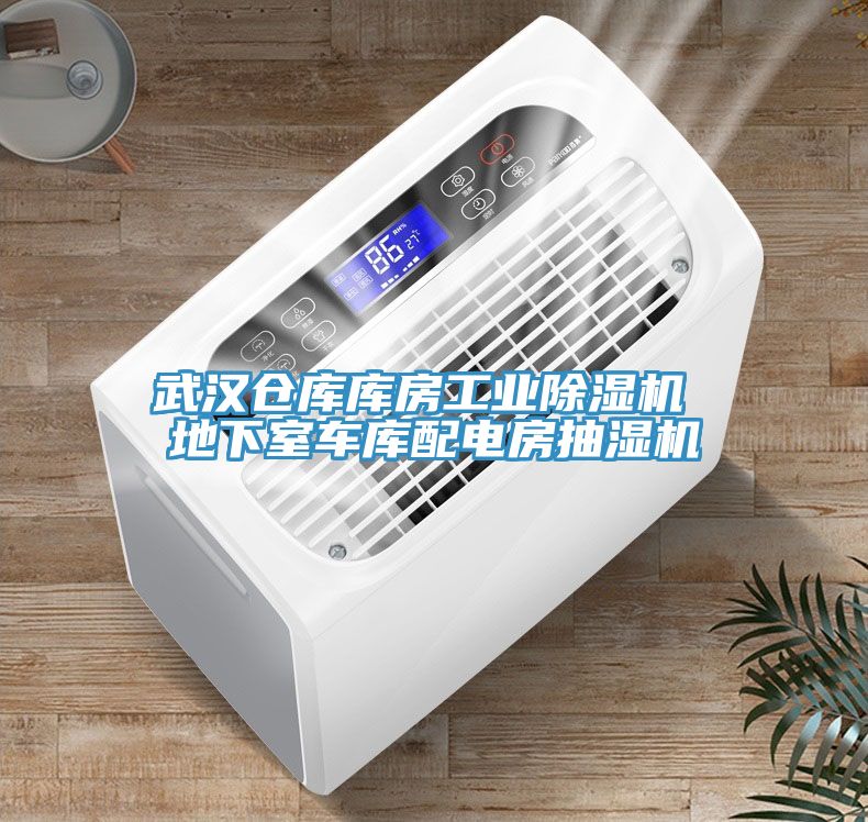 武漢倉(cāng)庫(kù)庫(kù)房工業(yè)除濕機(jī) 地下室車庫(kù)配電房抽濕機(jī)