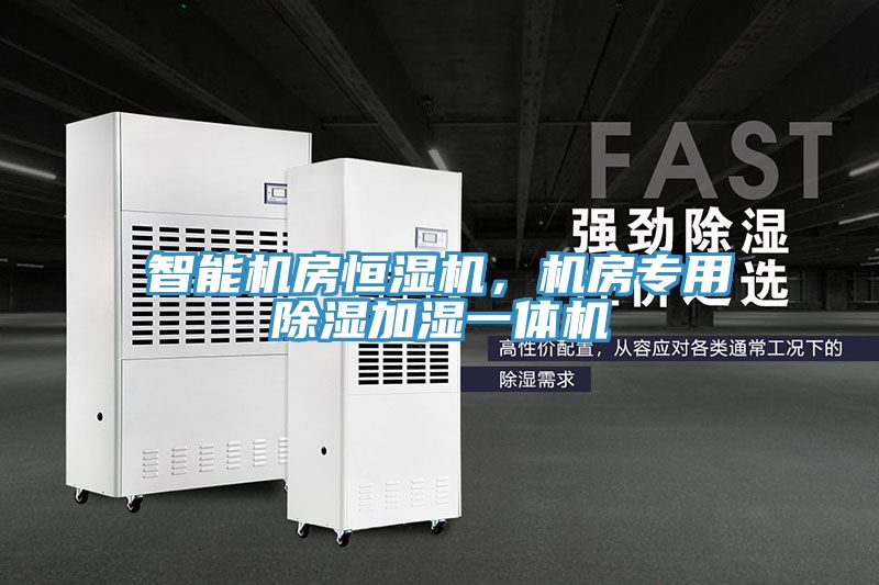 智能機房恒濕機，機房專用除濕加濕一體機