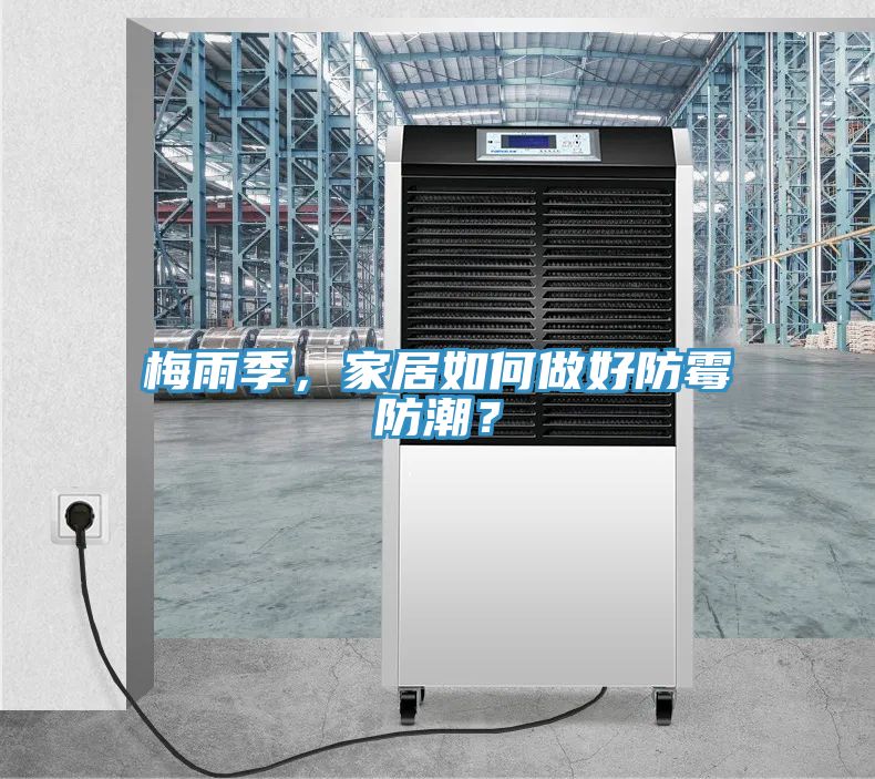 梅雨季，家居如何做好防霉防潮？