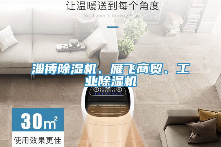 淄博除濕機、雁飛商貿、工業(yè)除濕機