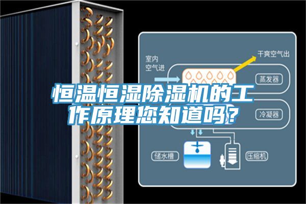恒溫恒濕除濕機(jī)的工作原理您知道嗎？