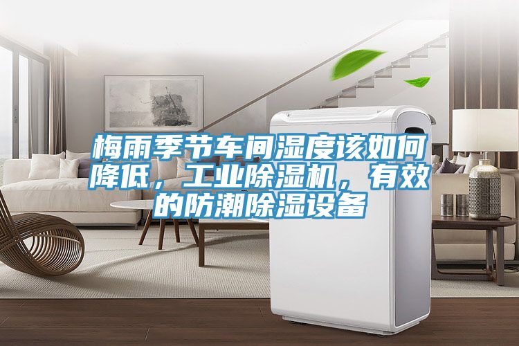 梅雨季節(jié)車間濕度該如何降低，工業(yè)除濕機(jī)，有效的防潮除濕設(shè)備