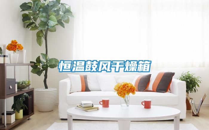 恒溫鼓風干燥箱