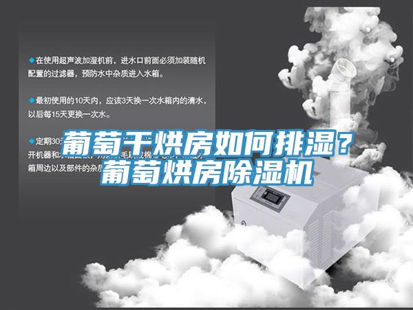 葡萄干烘房如何排濕？葡萄烘房除濕機(jī)