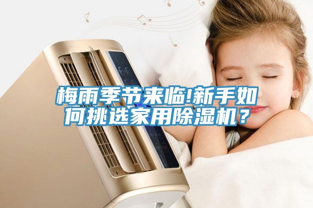 梅雨季節(jié)來臨!新手如何挑選家用除濕機(jī)？