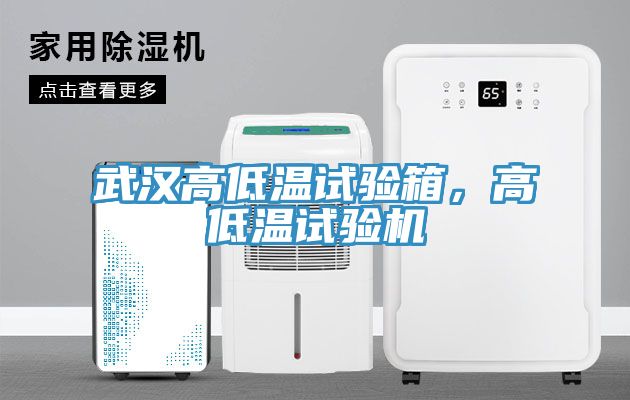 武漢高低溫試驗(yàn)箱，高低溫試驗(yàn)機(jī)
