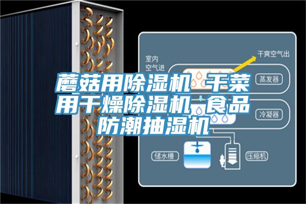 蘑菇用除濕機(jī) 干菜用干燥除濕機(jī) 食品防潮抽濕機(jī)