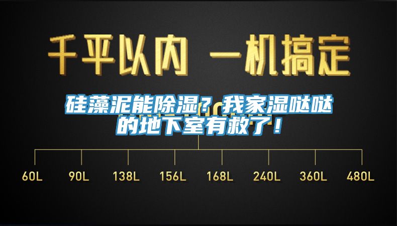 硅藻泥能除濕？我家濕噠噠的地下室有救了！