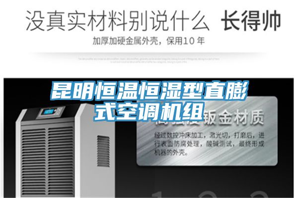 昆明恒溫恒濕型直膨式空調(diào)機(jī)組
