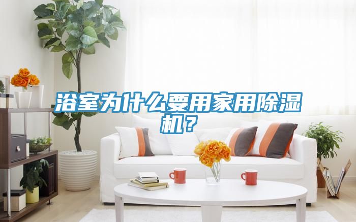 浴室為什么要用家用除濕機(jī)？