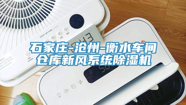 石家莊-滄州-衡水車間倉(cāng)庫(kù)新風(fēng)系統(tǒng)除濕機(jī)