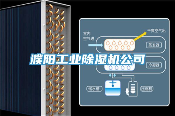 濮陽(yáng)工業(yè)除濕機(jī)公司