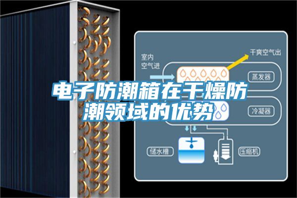 電子防潮箱在干燥防潮領(lǐng)域的優(yōu)勢(shì)