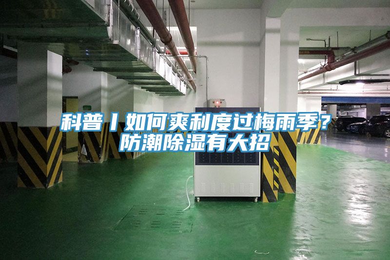 科普丨如何爽利度過梅雨季？防潮除濕有大招