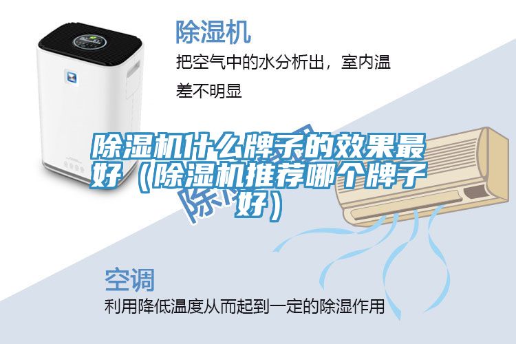 除濕機(jī)什么牌子的效果最好（除濕機(jī)推薦哪個(gè)牌子好）