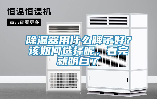 除濕器用什么牌子好？該如何選擇呢，看完就明白了