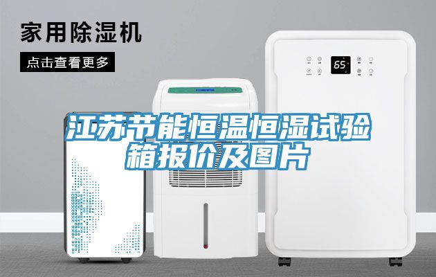 江蘇節(jié)能恒溫恒濕試驗箱報價及圖片