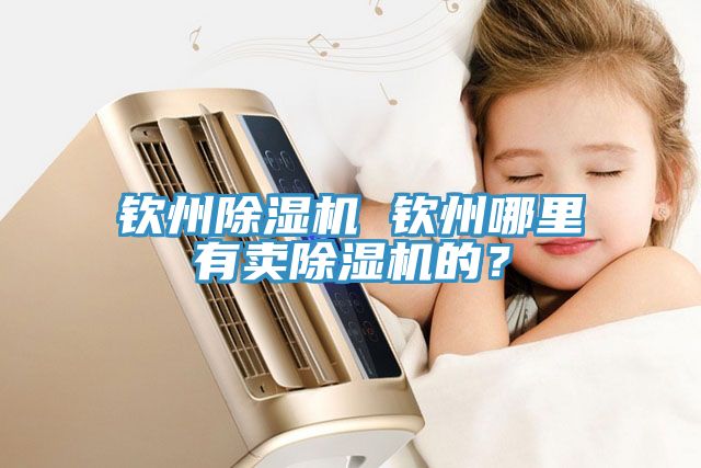 欽州除濕機(jī) 欽州哪里有賣(mài)除濕機(jī)的？