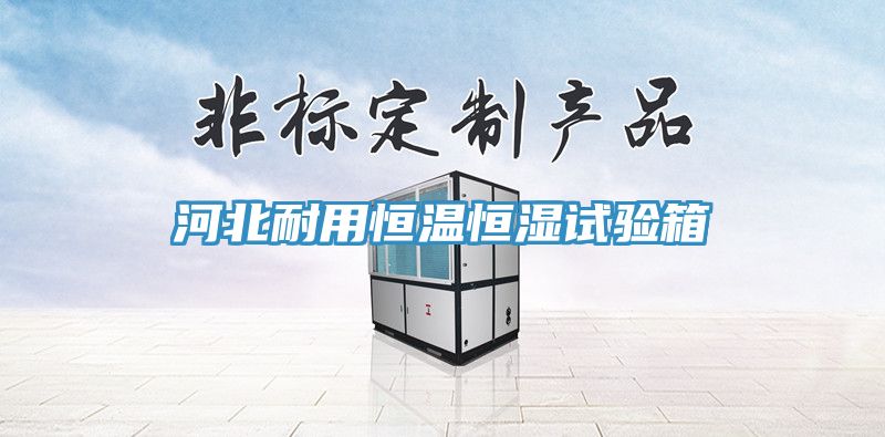 河北耐用恒溫恒濕試驗箱