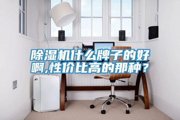 除濕機(jī)什么牌子的好啊,性?xún)r(jià)比高的那種？